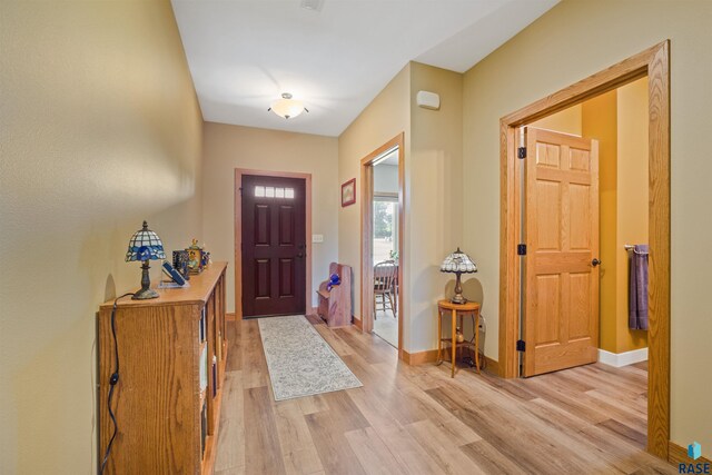 entrance foyer featuring light wood-type flooring