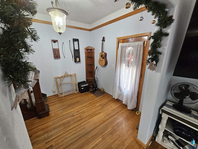 foyer with wood-type flooring