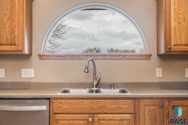 kitchen with stainless steel dishwasher and sink