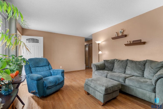 living room with a textured ceiling and light wood-type flooring