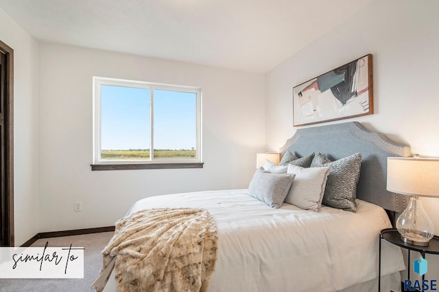 bedroom featuring carpet floors