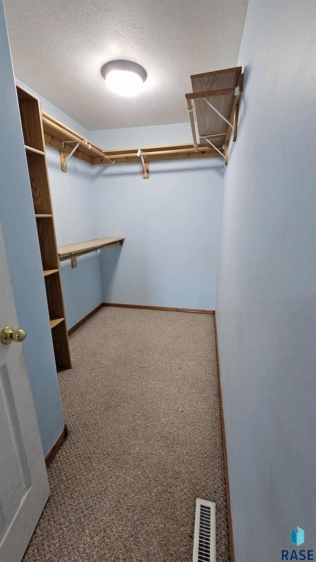 walk in closet with carpet floors