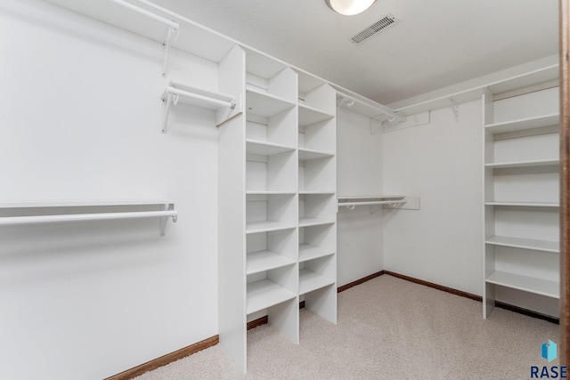 spacious closet with light colored carpet