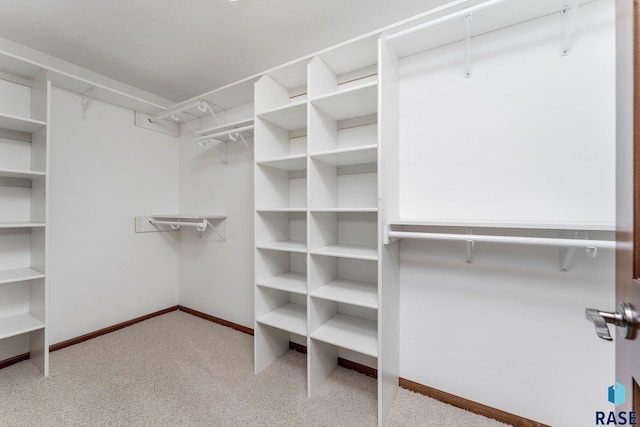 spacious closet with light carpet