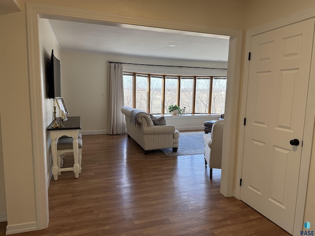 living room with dark hardwood / wood-style flooring