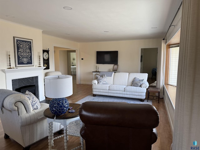 living room featuring a fireplace and hardwood / wood-style floors