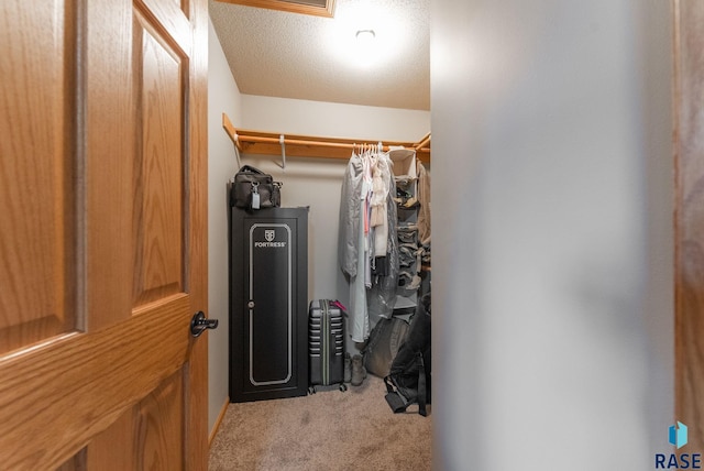 spacious closet with light carpet