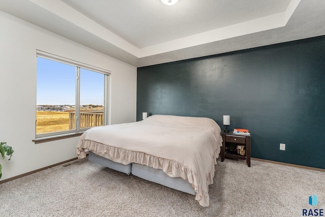 bedroom with carpet flooring and a raised ceiling