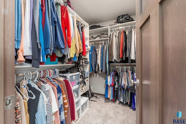 walk in closet with light carpet