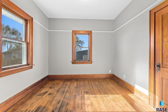 spare room with wood-type flooring