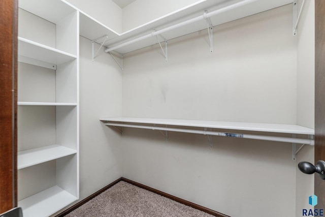 spacious closet with carpet floors