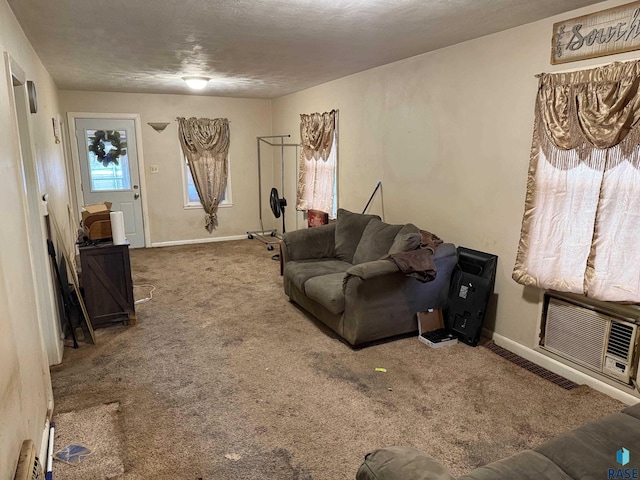 living room with a textured ceiling and carpet floors