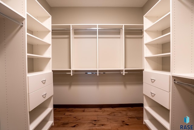 spacious closet with dark hardwood / wood-style flooring