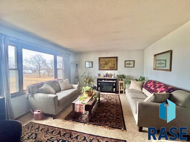 carpeted living room featuring a textured ceiling