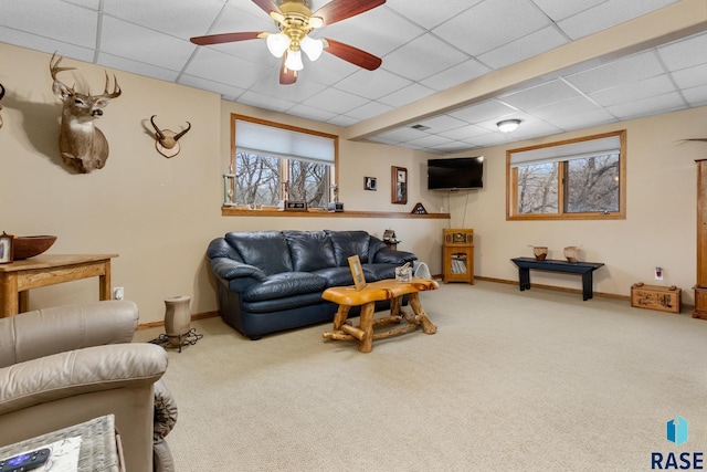 living room featuring ceiling fan, carpet, and a drop ceiling