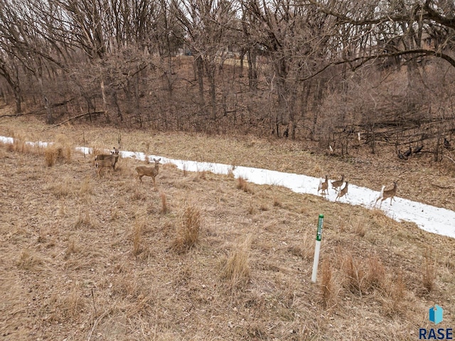 view of yard featuring a rural view