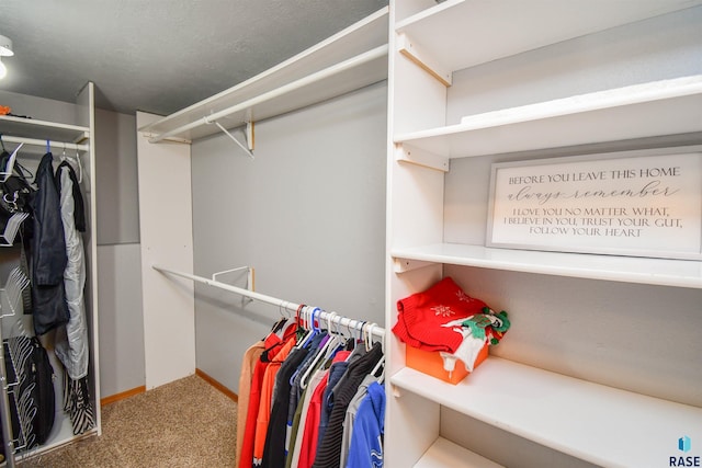 walk in closet featuring carpet flooring