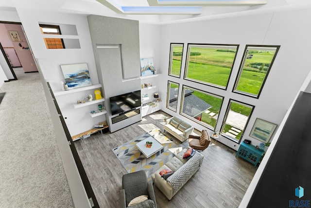 living room featuring hardwood / wood-style flooring and a tray ceiling