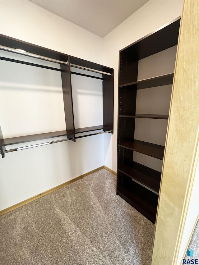 walk in closet with carpet