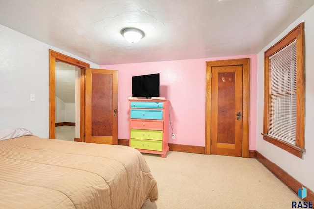 bedroom with a closet and light carpet