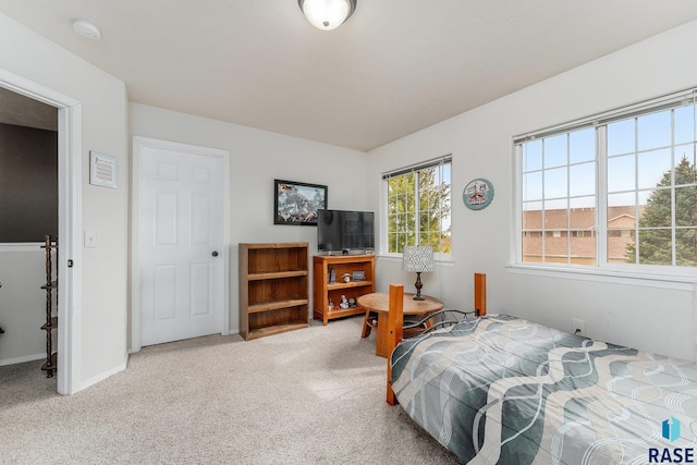 bedroom with light carpet