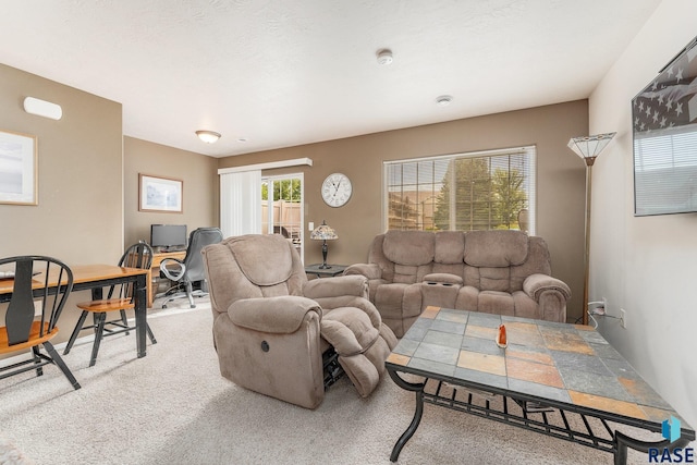 view of carpeted living room