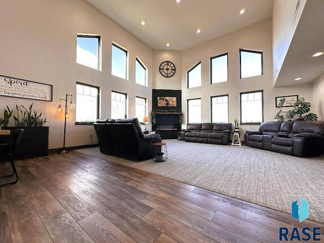 living room featuring hardwood / wood-style flooring and a towering ceiling