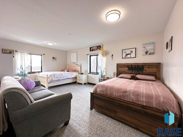 carpeted bedroom with multiple windows and a textured ceiling