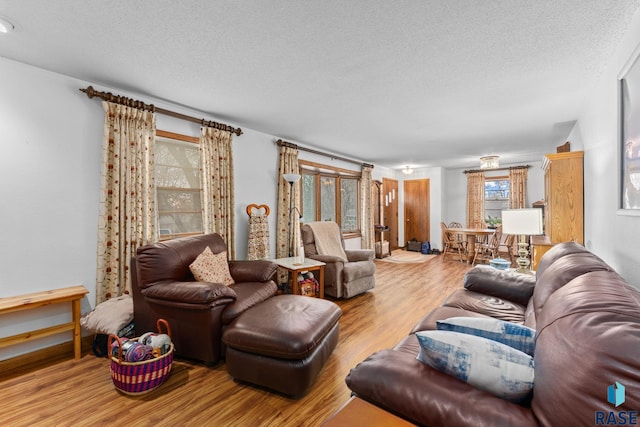 living room with light hardwood / wood-style flooring and a textured ceiling