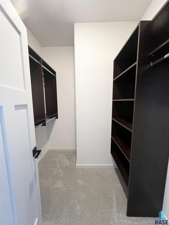 walk in closet featuring light colored carpet