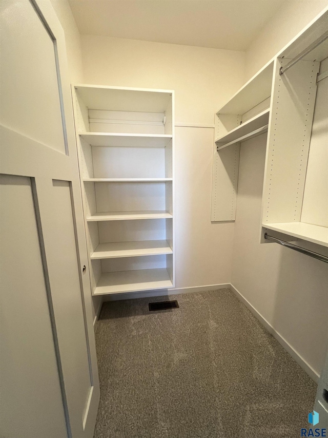 spacious closet featuring carpet flooring and visible vents