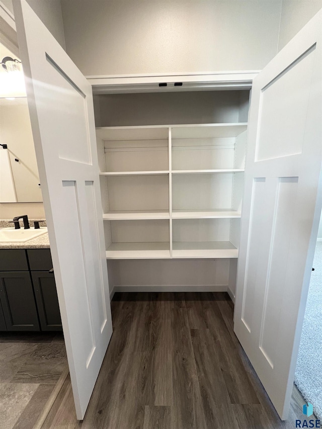 closet with a sink