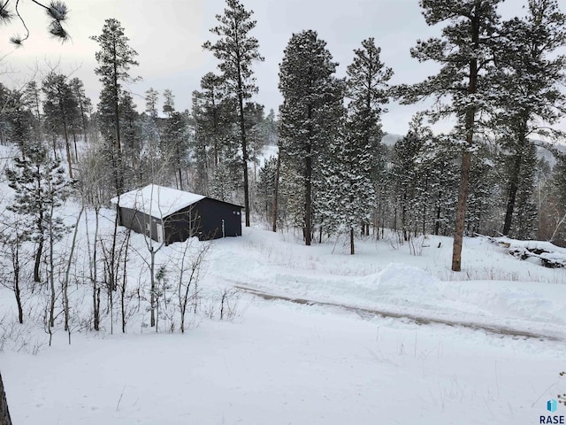 view of snowy yard