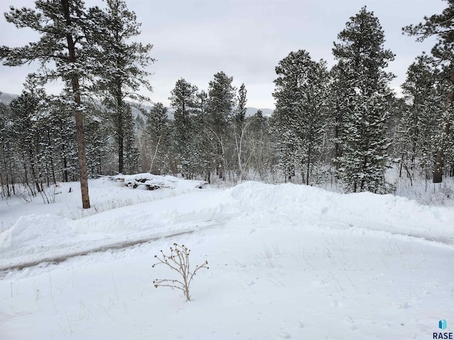 view of snowy view