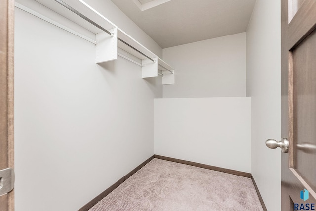 spacious closet featuring light colored carpet