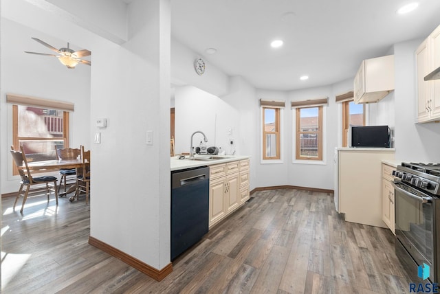 kitchen featuring ceiling fan, appliances with stainless steel finishes, dark hardwood / wood-style floors, and sink