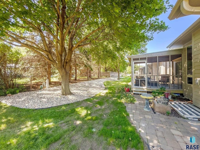 view of yard featuring a patio area and a sunroom