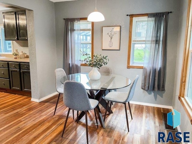 dining room with light hardwood / wood-style flooring