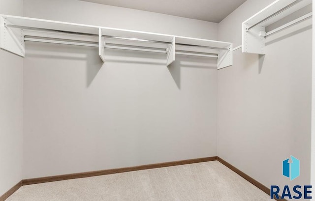 walk in closet featuring carpet