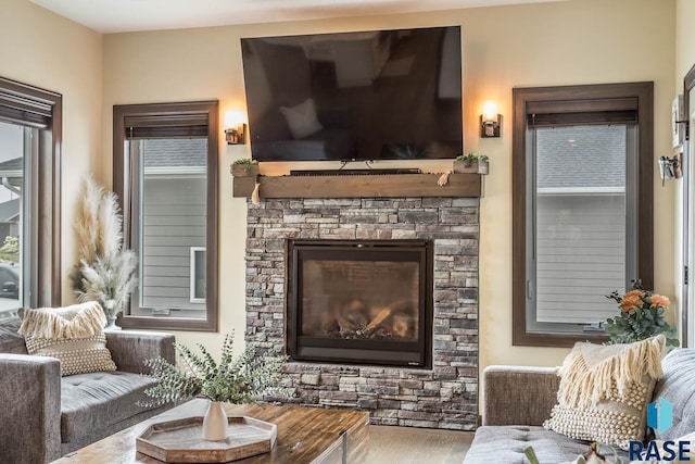 living room with hardwood / wood-style flooring and a fireplace