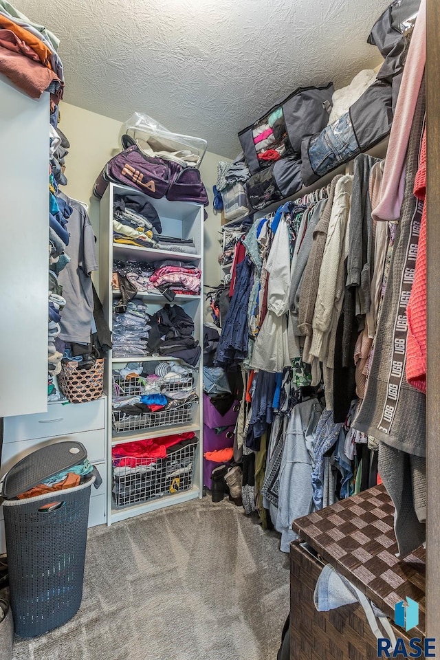 walk in closet featuring carpet