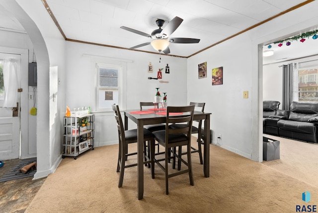 carpeted dining room featuring ornamental molding and ceiling fan