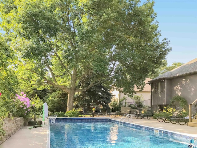 view of pool featuring a patio