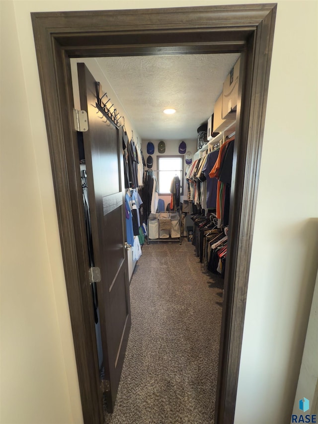 walk in closet featuring carpet flooring