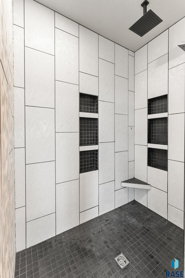 interior space with walk in shower