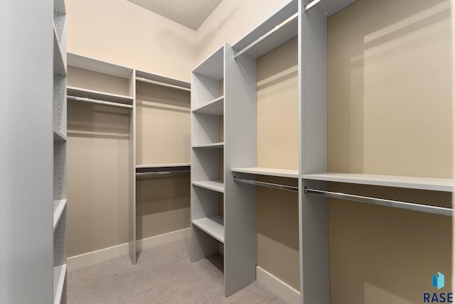 spacious closet featuring light colored carpet