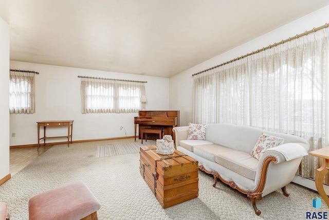 living room featuring carpet floors and a healthy amount of sunlight