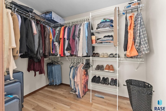 spacious closet with radiator and wood-type flooring