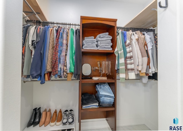 view of spacious closet