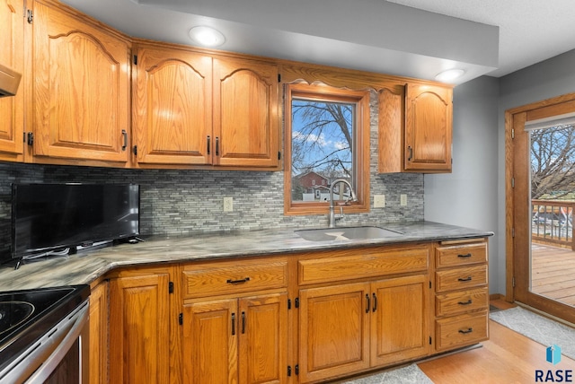 kitchen with light stone countertops, sink, light hardwood / wood-style floors, and decorative backsplash